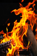 Burning wood logs, cooking on fire, warm evening, sparkles in the air, warm air from the fire