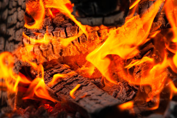 Burning wood logs, cooking on fire, warm evening, sparkles in the air, warm air from the fire