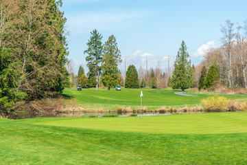 Golf course with gorgeous green and fantastic forest view.