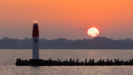 Sunrise over the Baltic Sea island Rügen. In the foreground a dam in the harbor of the city Stralsund. The lighthouse flashes and a flock of birds flies in front of the sun.