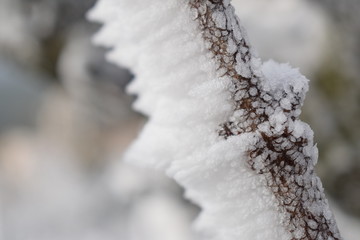 Frostige Zeiten