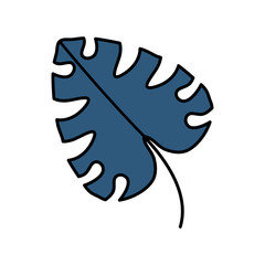 exotic and tropical leaf plant