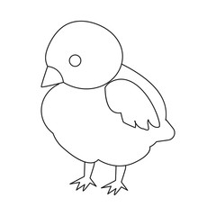 Isolated object of baby and chick sign. Collection of baby and animal stock symbol for web.