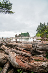 Fototapeta na wymiar Low angle view of driftwood at Ruby Beach in Olympic National Park in Washington State
