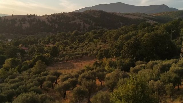 Beautiful agricultural town Padula. Mountaing and forest in background.