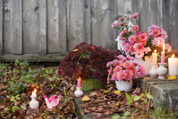 chrysanthemums with burning candles in the autumn garden