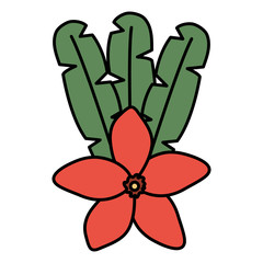 exotic and tropical flower with leafs garden