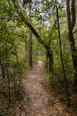 Naklejka premium trail