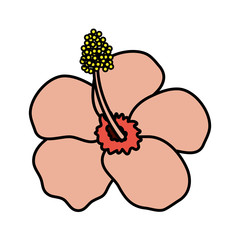 exotic and tropical flower garden