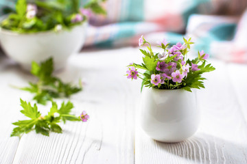 Miniature Purple flowers in a white vase on a white table 