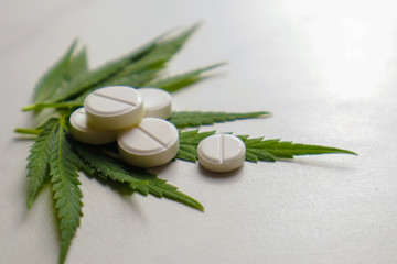 Green hemp leaves and tablets on light background. 
