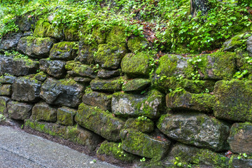 Stone With Green Mos , Green Mos , Stone