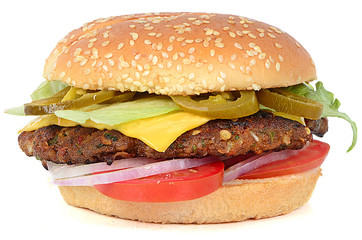 Spicy beef salad and cheese burger isolated