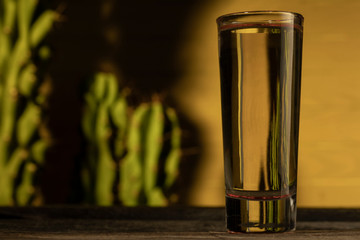 detail of tequila shot