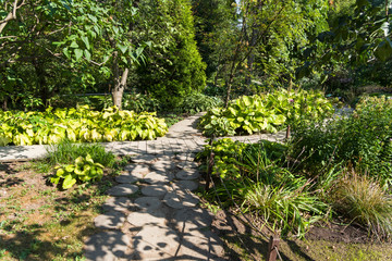 Beautiful and neat paths in the botanical garden.