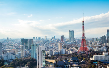 Fototapeta na wymiar Tokyo tower, landmark of Japan