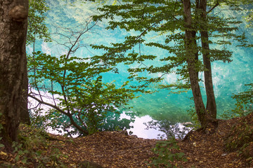 Clear blue water with trees on the shore.