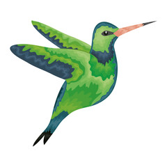 hummingbird whit flowers vector illustration