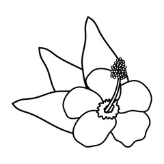 exotic and tropical flower with leafs garden