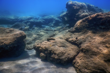 Sea Life Underwater Rocks Sunlight, Underwater Life
