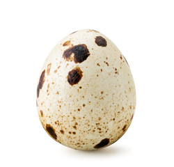 One quail egg close-up on a white. Isolated