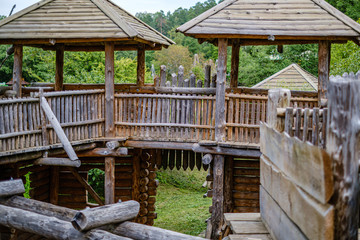 Obraz premium wooden castle palace in forest