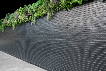 Brick Wall and Flowers