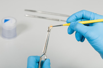 close up of painting work at artificial tooth in a dental laboratory