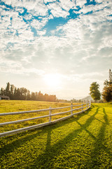 Beautyful landscapes with Horse Farm in Country