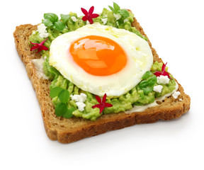 avocado toast open sandwich isolated on white background