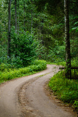 Obraz premium wavy gravel road in green summer forest