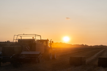 Sunset Harvest