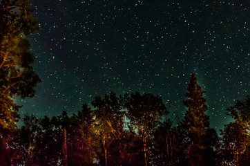 Starry night sky in duck mountain provincial park