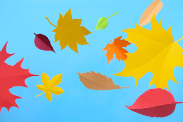 Obraz premium Leaves of paper fall red, orange, yellow leaf fall.