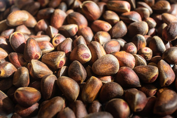 A lot of pine nuts. The concept of wild plants, healthy products. Inshell Nuts.