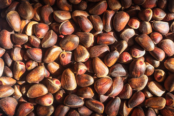A lot of pine nuts. The concept of wild plants, healthy products. Inshell Nuts.