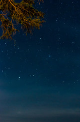 Fototapeta na wymiar Starry night sky in duck mountain provincial park