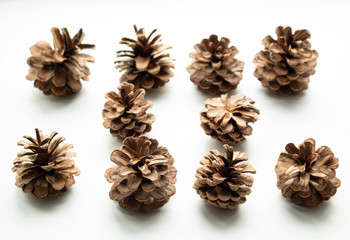 the lump in the winter. Pinecone with Christmas tree and pine.