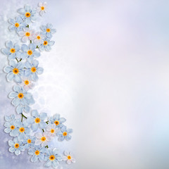 Beautiful vintage background with place for text or photo and a border of forget-me-not flowers