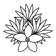 exotic and tropical flower with leafs garden