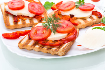 Closeup of a fresh sandwich with mozzarella, tomatoes