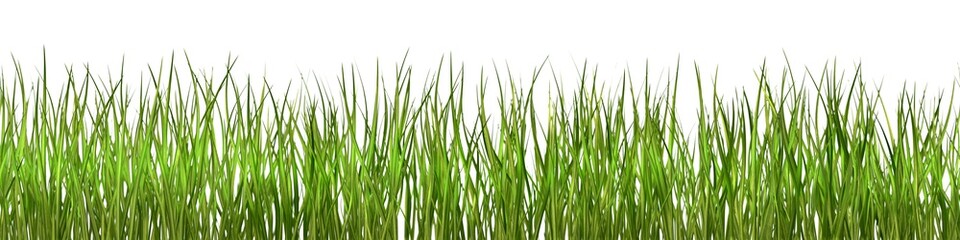 Fototapeta na wymiar Seamlessly loopable pattern of grass field isolated on white