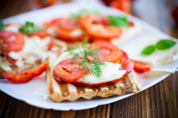 Closeup of a fresh sandwich with mozzarella, tomatoes
