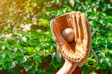 Male hand in a baseball leather glove caught a ball on a green background leaves nature