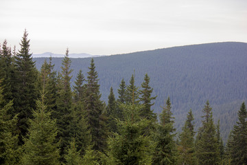 The majestic view of the beautiful mountains. Relaxing travel background. Tourist routes. Carpathians. Ukraine. Europe.