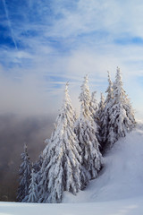 Winter on Postavarul Massif, Romania