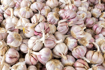 garlic bulbs at market for background use