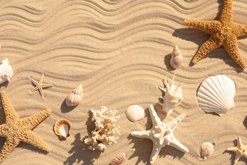 Fototapeta na wymiar Starfishes and seashells on beach sand with wave pattern, flat lay. Space for text