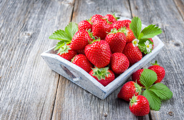 Fresh ripe strawberries offered as closeup shabby chick wooden tray on an old rustic board with copy space