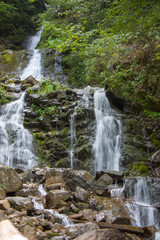 Fototapeta na wymiar Mountain river in the summer with small waterfalls. Beautiful summer landscape of the Carpathians.